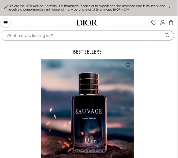 Dior美国官网海外旗舰店