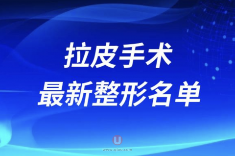 2024年国内十大拉皮手术医院排名前十名单