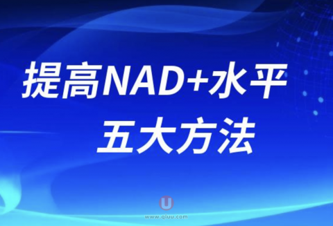 提高NAD+水平五大抗衰方法