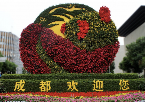 成都拔牙种牙比较好的医院前三名单发布